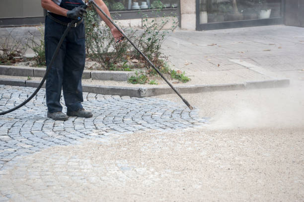 Best Gutter Cleaning  in Morgantown, WV